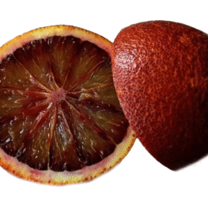 Orange sanguine 'Violette des vallées'