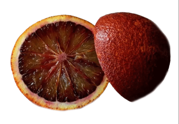 Orange sanguine 'Violette des vallées'