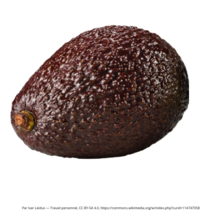 Avocat HASS