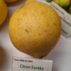 Citron eureka