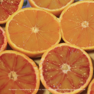 Orange Tarocco