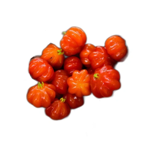 Pitanga