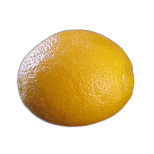 Oranger Valencia Midknight